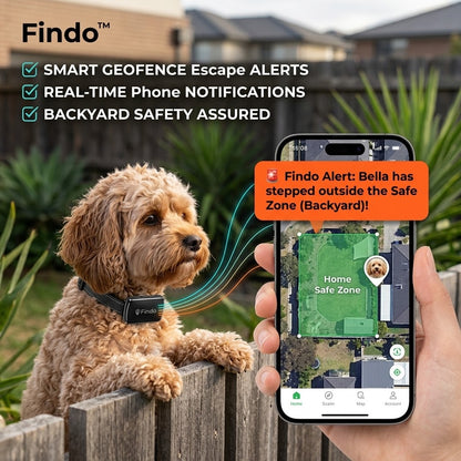 Findo Pro 4G GPS Smart Pet Tracker